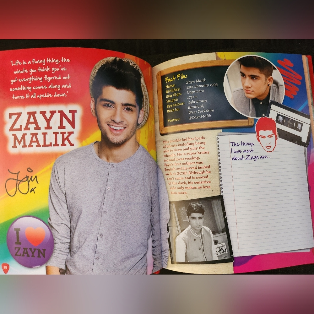 One Direction Secret Notebook 2013 - Picture 11 of 14